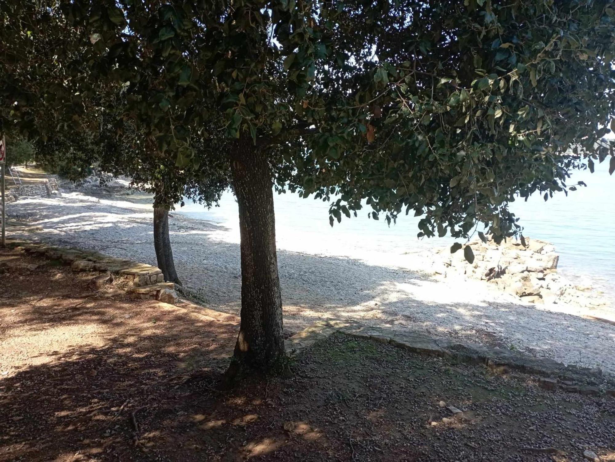 Apartman Angela Rovinj Exterior photo